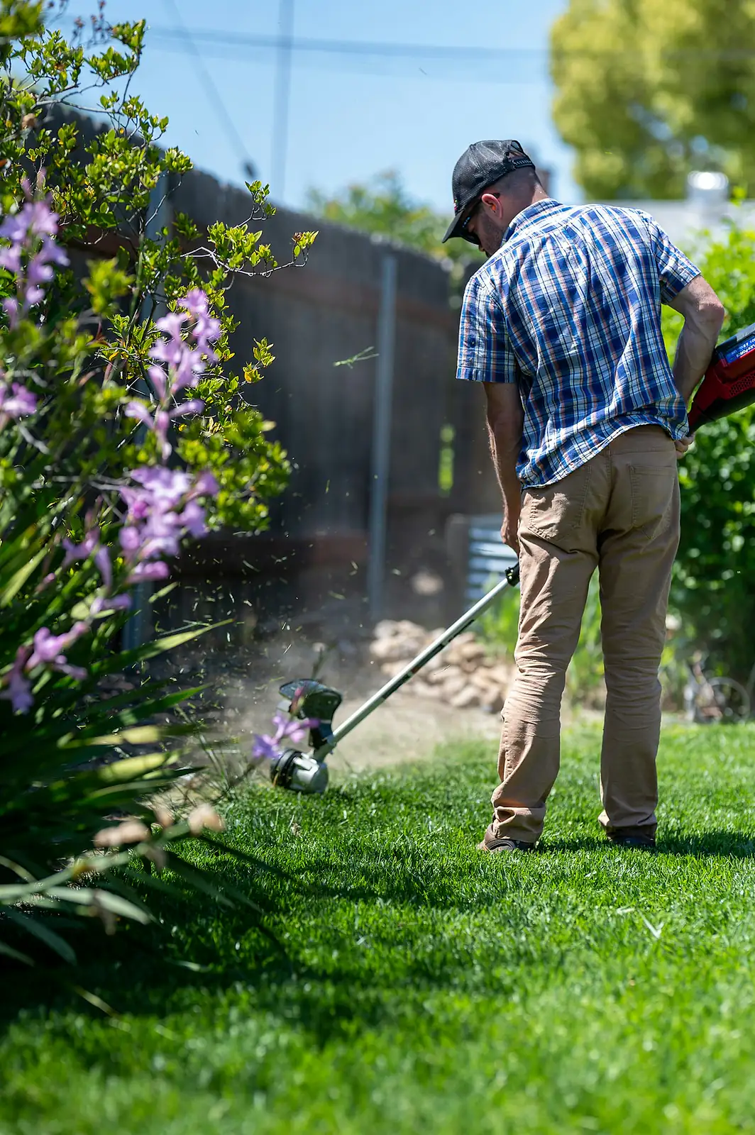 Before — patchy backyard